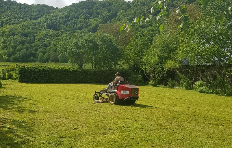 tonte mulch la charmille paysagiste