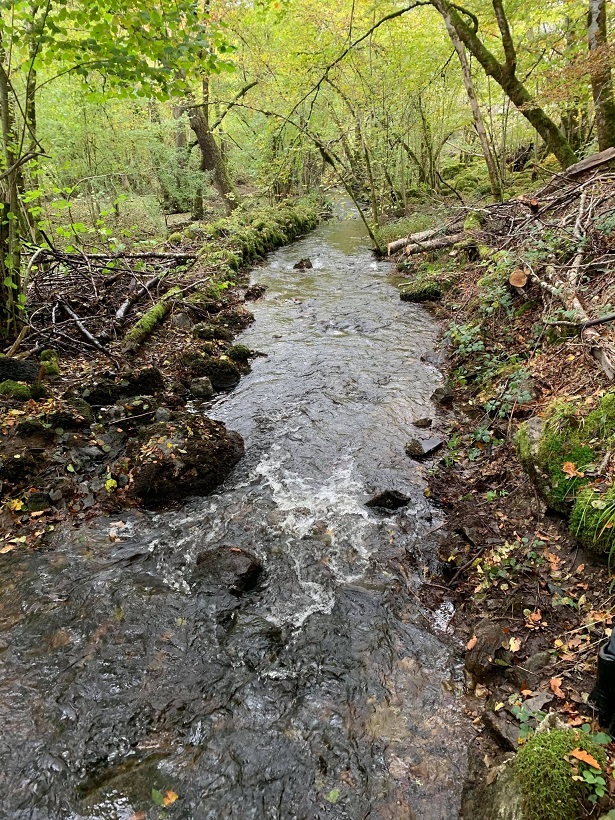 gestion des embacles et restauration de la ripisylve la charmille paysagiste mauriac