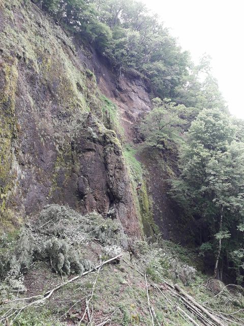 coupe rase de la végétation à la cascade de la rochenie la charmille paysagiste