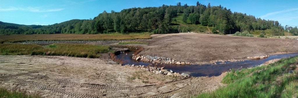 plantations travaux d'effacement du plan d'eau de peyrelevade la charmille